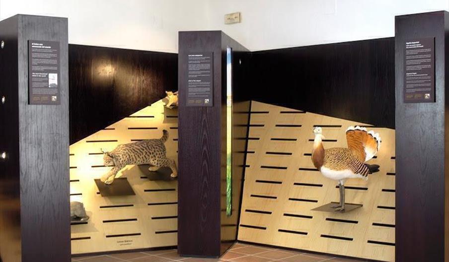 Centro Temático de Especies Amenazadas