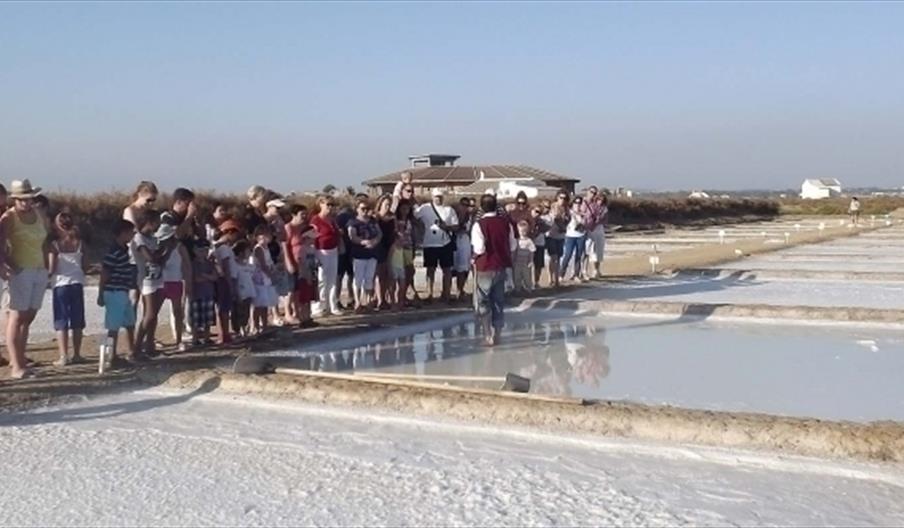 Alema Turismo y Medioambiente