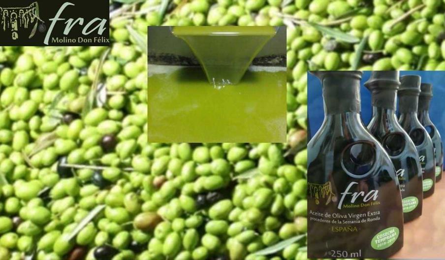 Almazara Molino don Felix