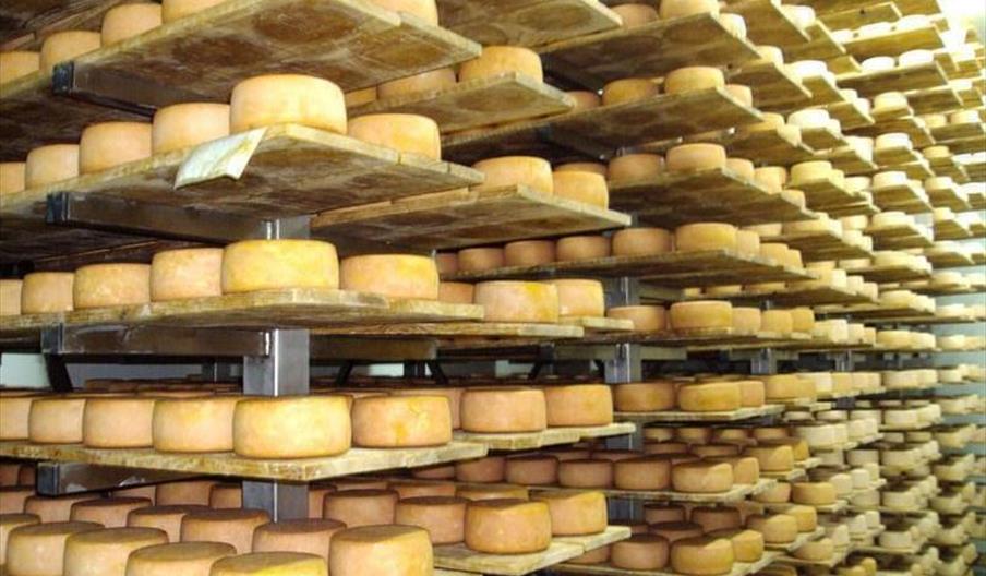 Quesos Sierra de El Real