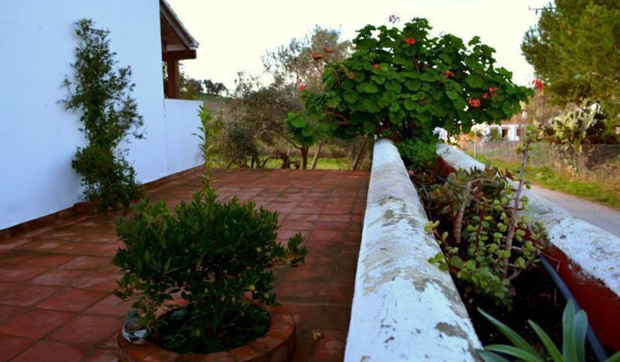 Vivienda Rural Villa Madrigueras
