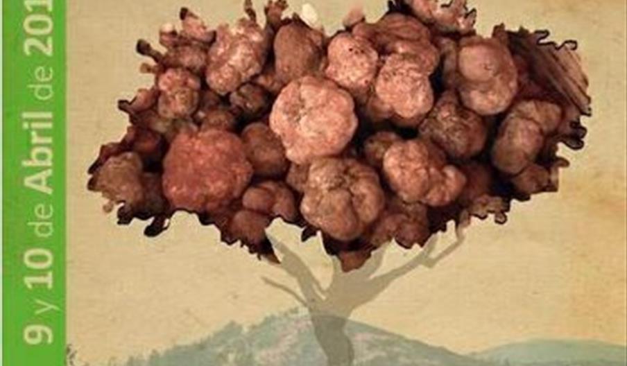 Feria Gastronómica del Andévalo: La turma, la trufa blanca