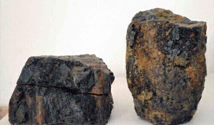 Museo de Historia Natural