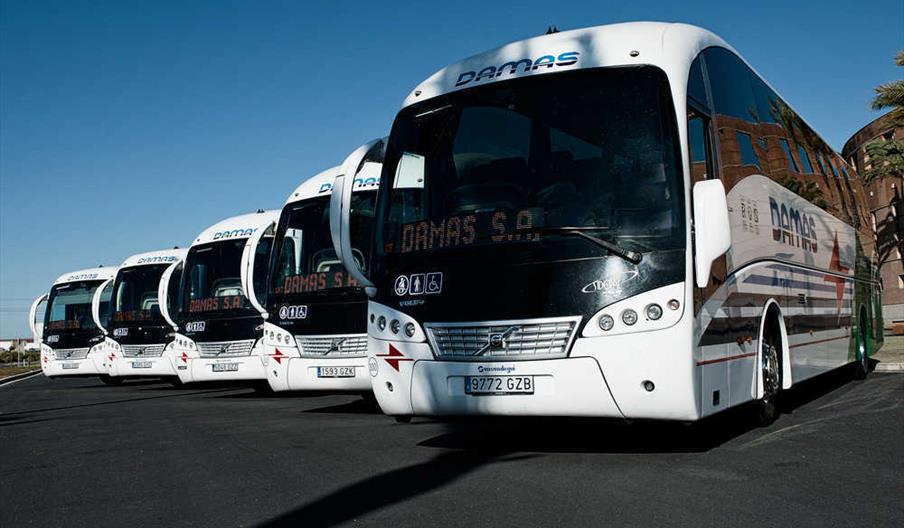 Autocares Damas