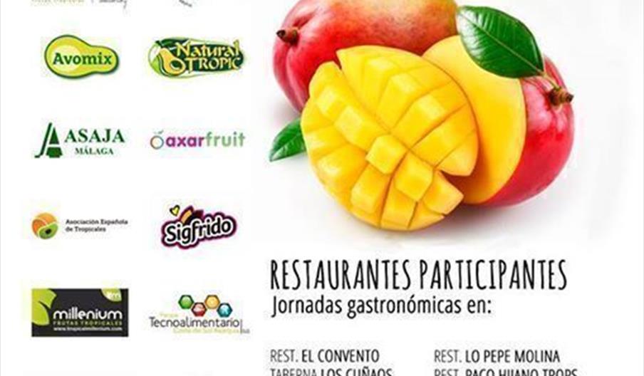 Festival Gastronómico del Mango de la Axarquía