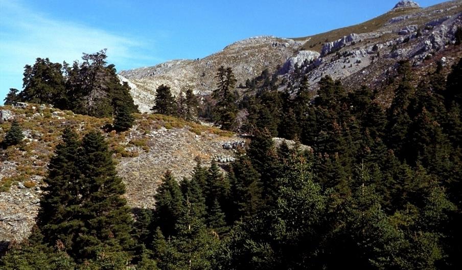 Sierra de las Nieves