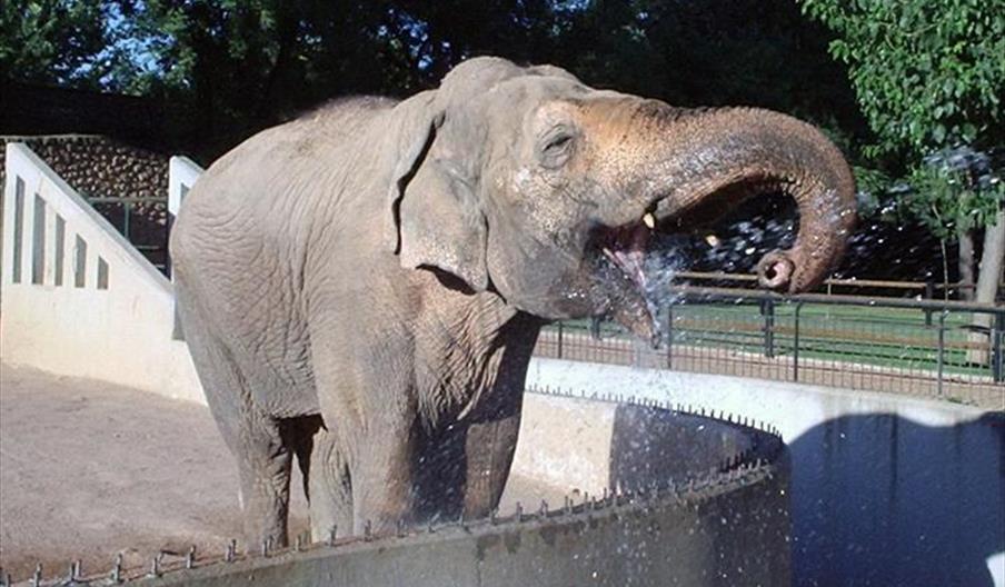 Parque Zoológico de Córdoba