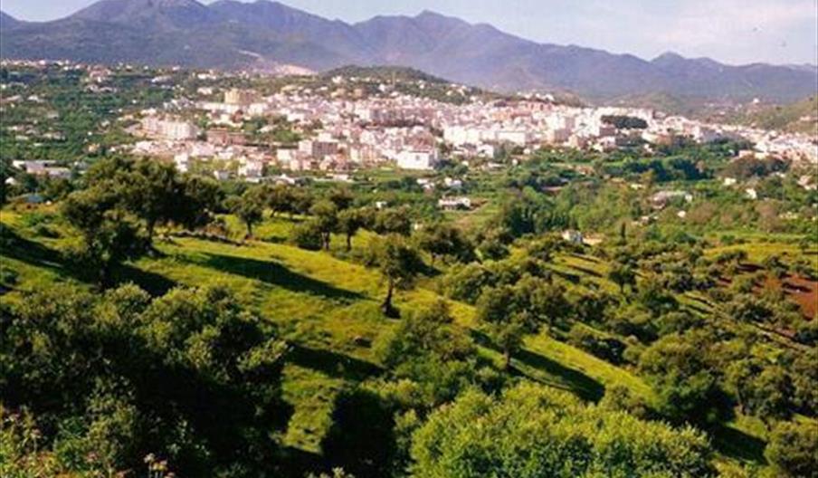 Coín