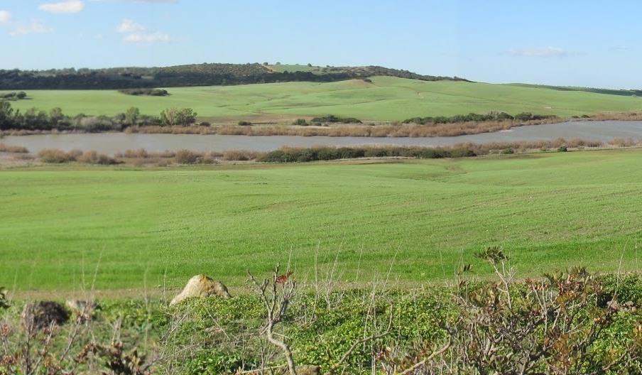 Complejo Endorreico de Puerto Real