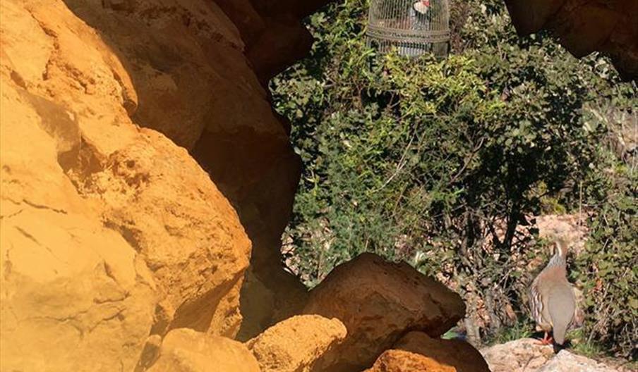 Feria del Reclamo de Benamejí