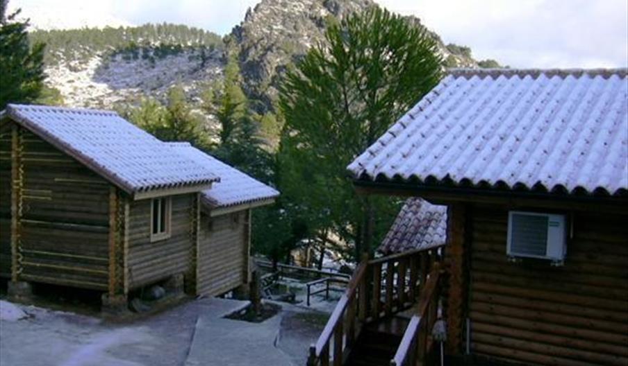 Camping Tajo Rodillo