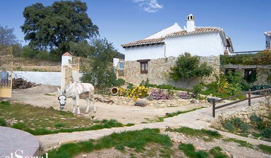 La Pedriza