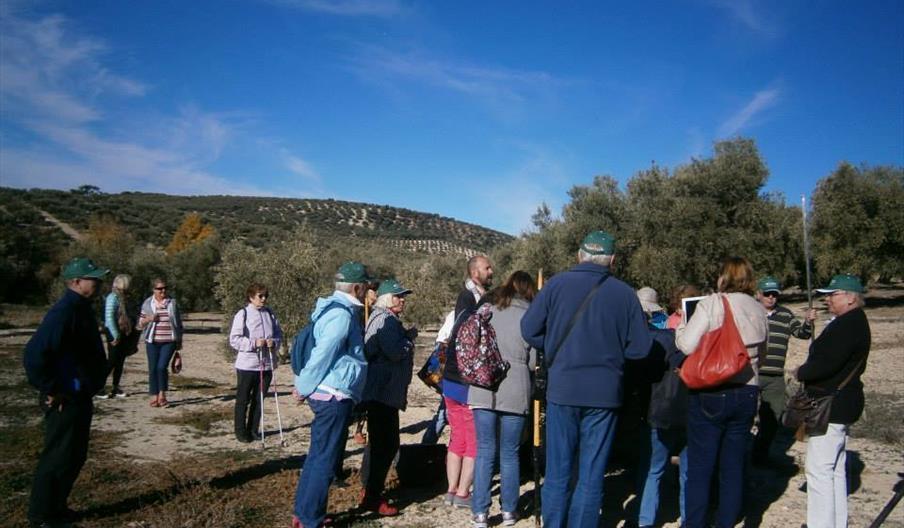Andalucía Experiencies