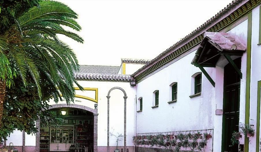 Museo Bodegas Toro Albalá
