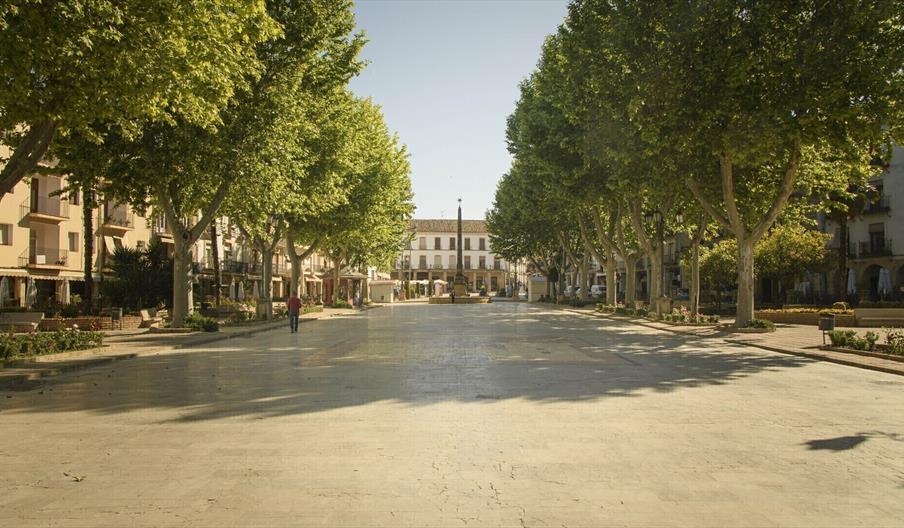 Paseo de la Constitución