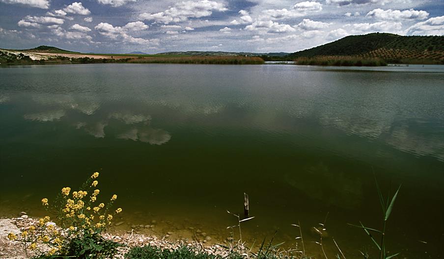 Embalse de Cordobilla