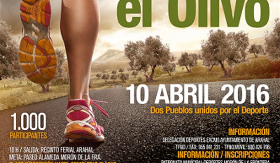 Media Maratón 'La Cal y el Olivo'