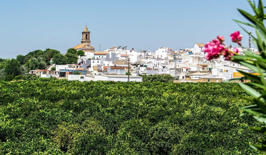 Vista General Cantillana