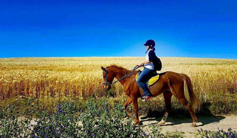 EXPERIENCIAS TURÍSTICAS