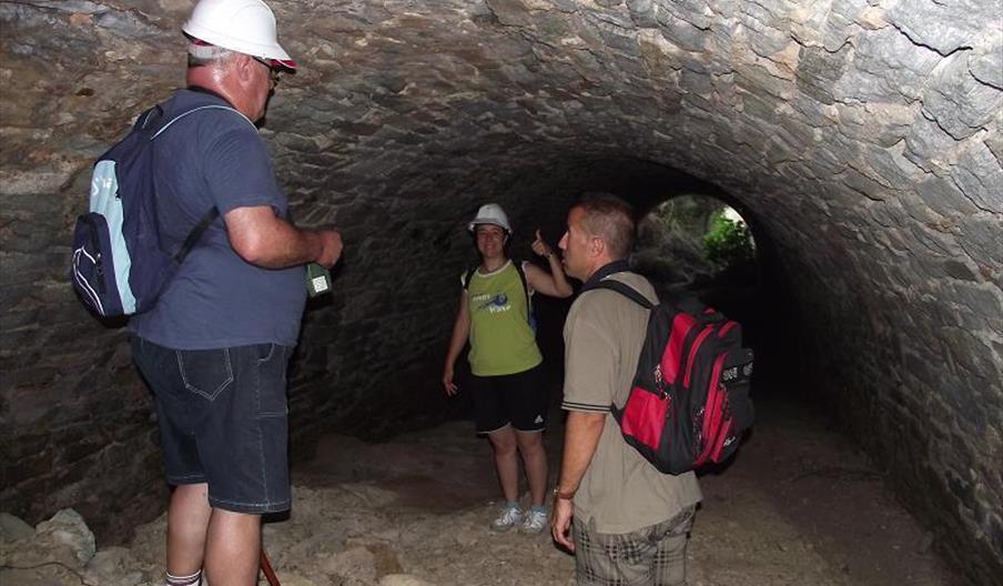 Rutas Guiadas Bédar Minera