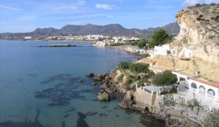 Imágenes web Buceo Isla Negra