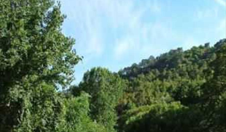 Charco Puente de San Juan