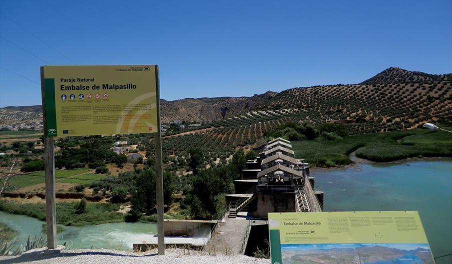 Embalse de Malpasillo