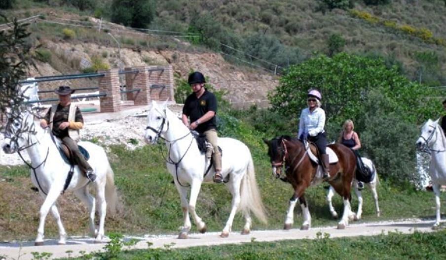Andalucian Horseriding Adventure