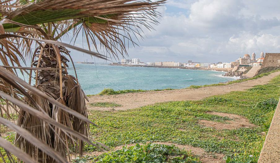 Aparatmento La Luna nueva en Cádiz