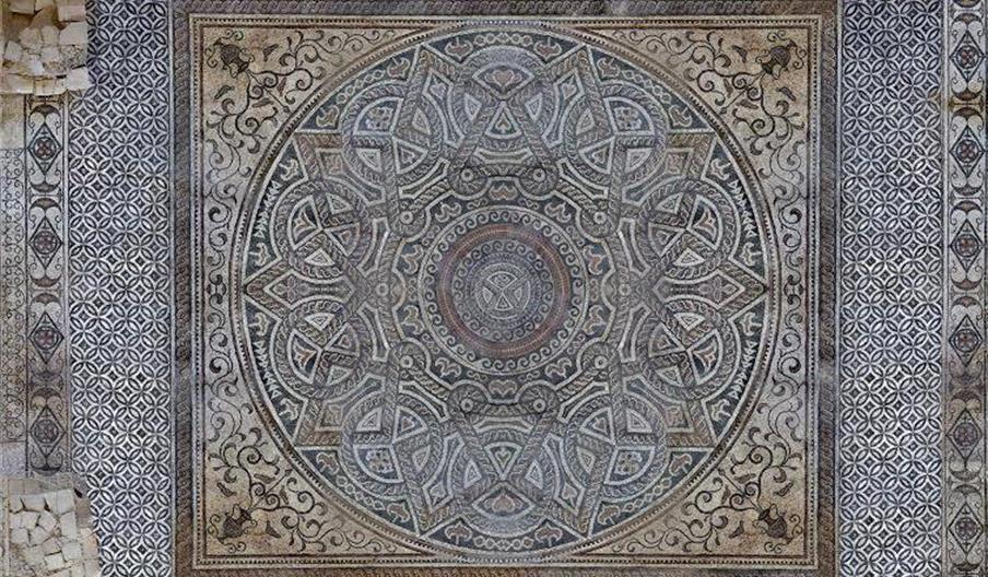 Villa Romana de Salar