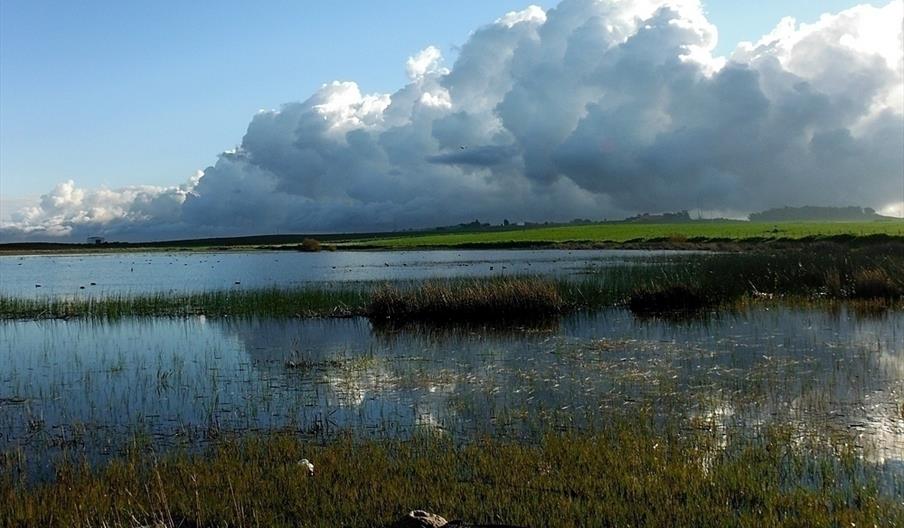 Complejo Endorreico de El Puerto de Santa María