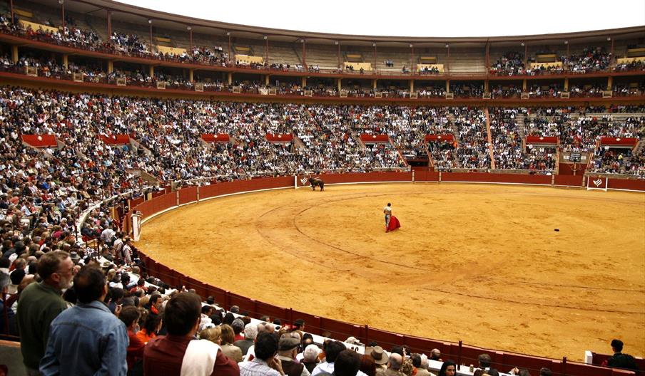Plaza de Toros los Califas