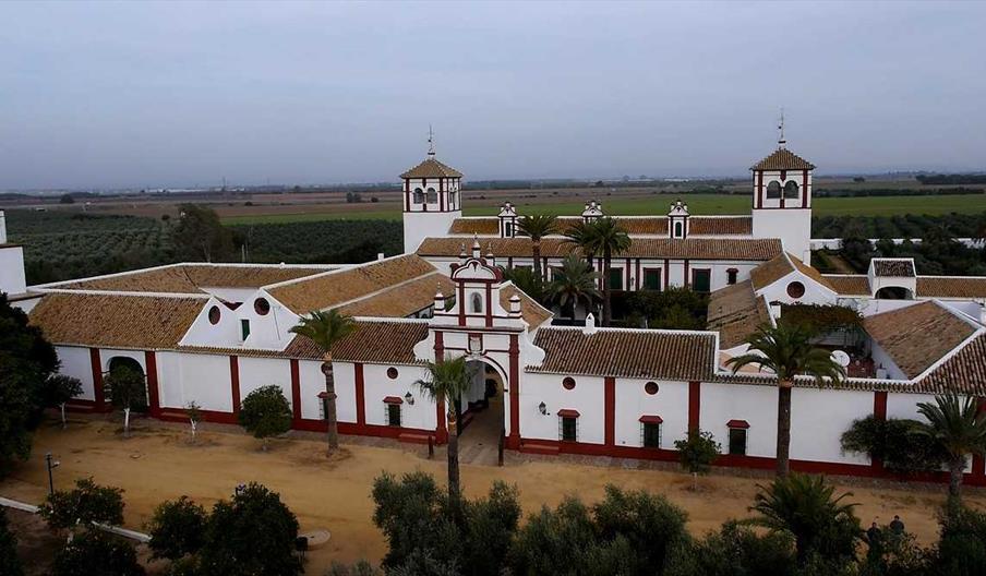 HACIENDA GUZMÁN. Más de 500 años de historia aceitera.