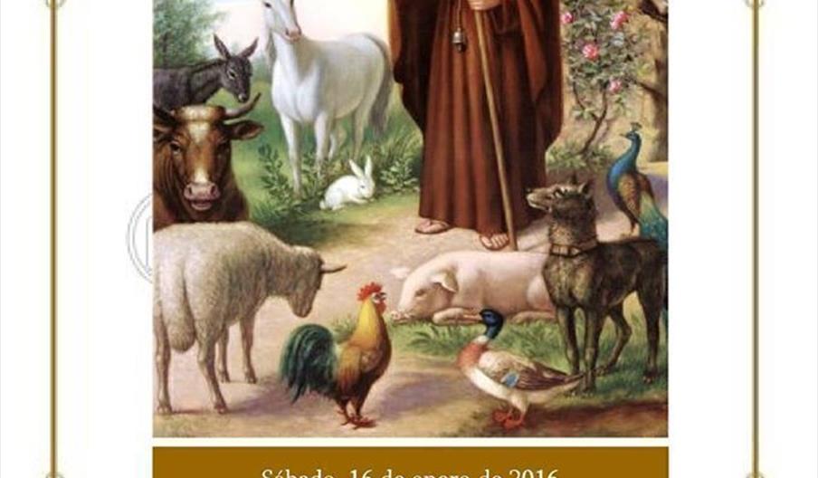 Festividad de San Antón en Montoro