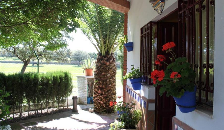 Ruedos del Robledillo