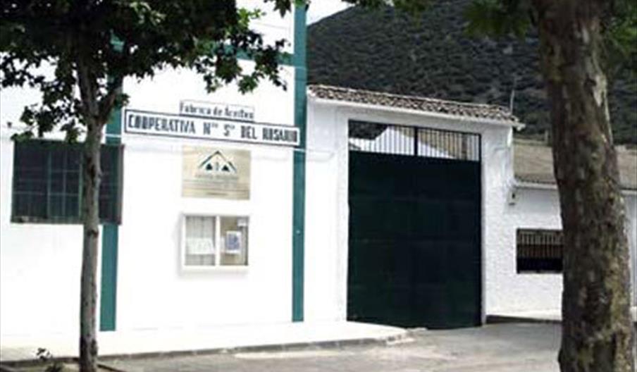 Nuestra Señora del Rosario Albilia