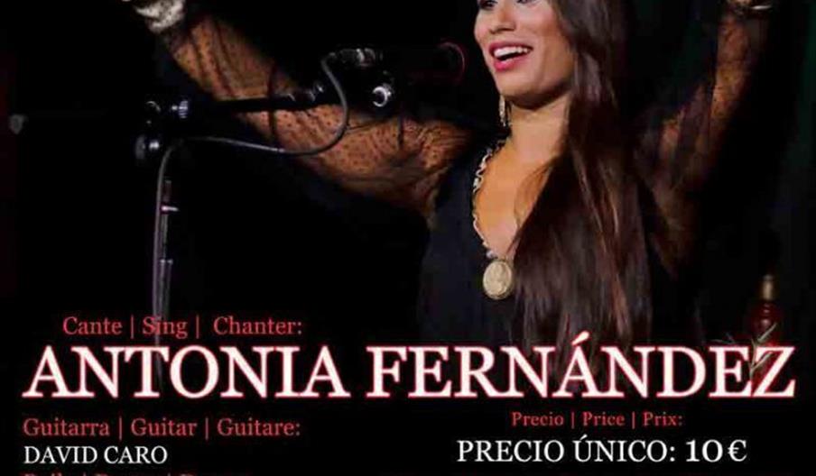 Festival Flamenco "El Arte en Ruta"