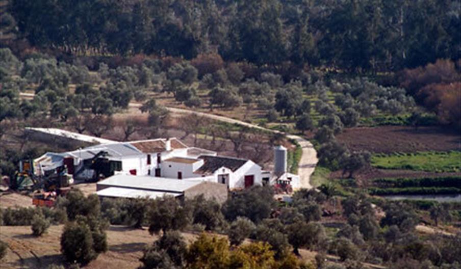 Molino El salado