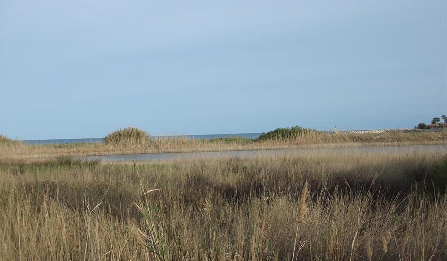 Estuario del Río Guadiaro