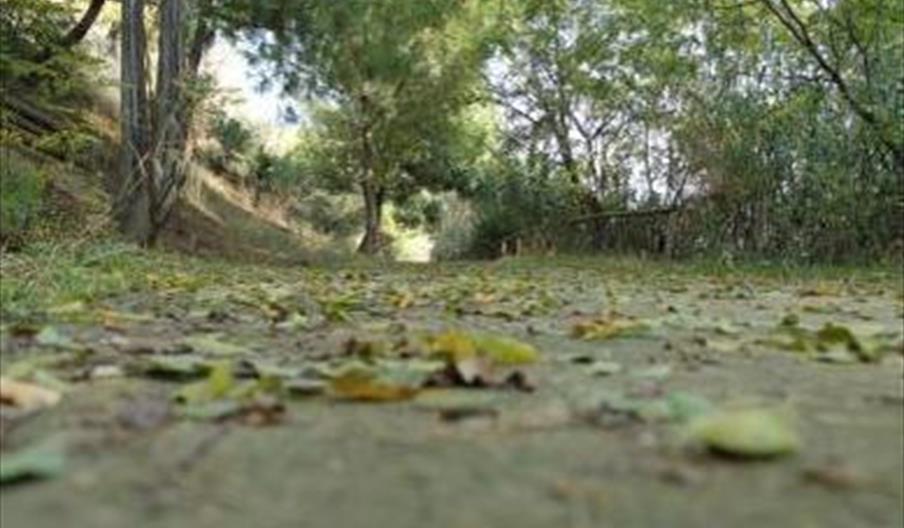 Parque de los Manantiales