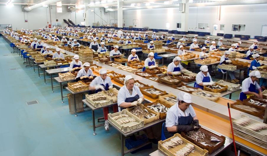 Unión Salazonera Isleña