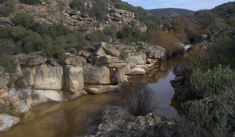 Dehesa de Burguillos