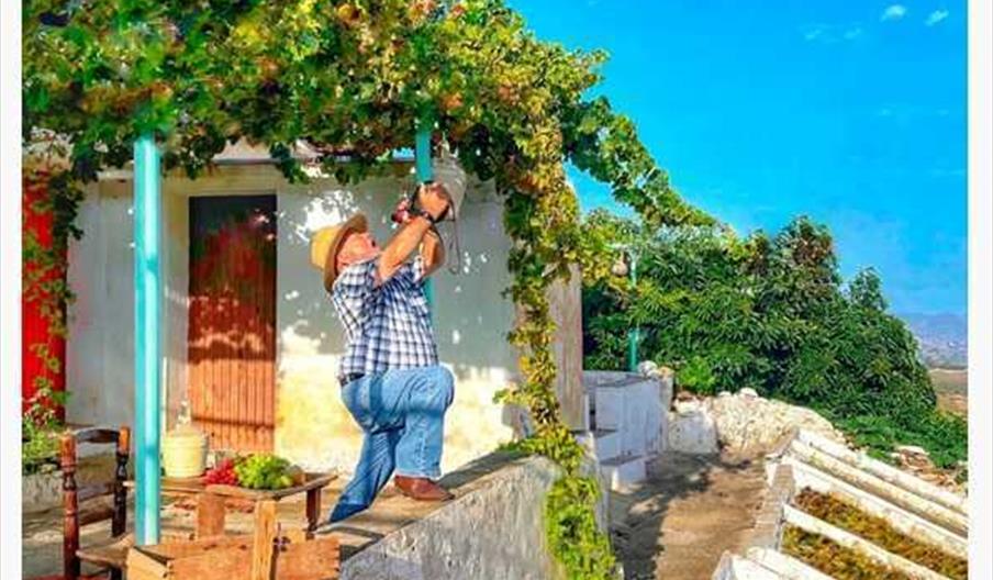 Noche del Vino en Cómpeta