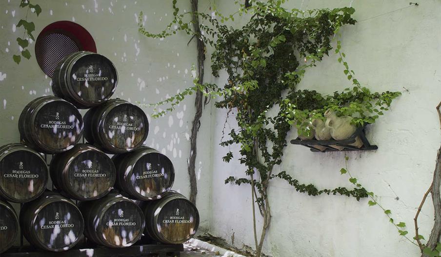 Bodegas César Florido