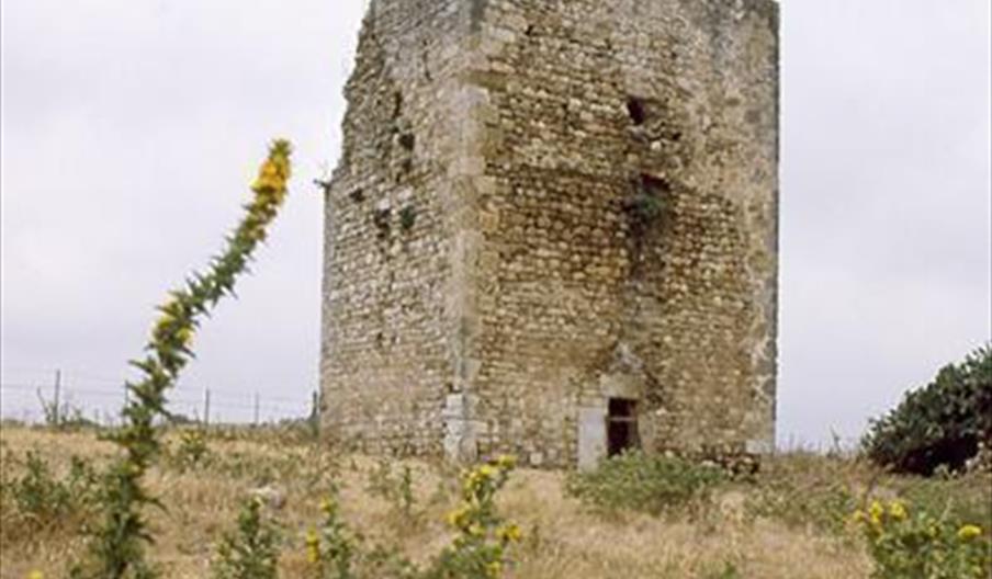 Yacimiento Romano de la Mesa del Esparragal
