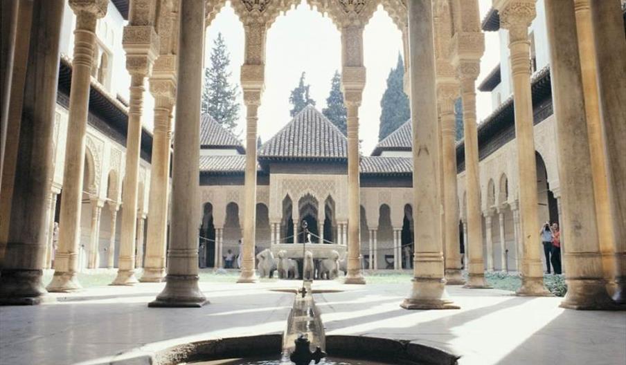 Proyecto Español en Granada