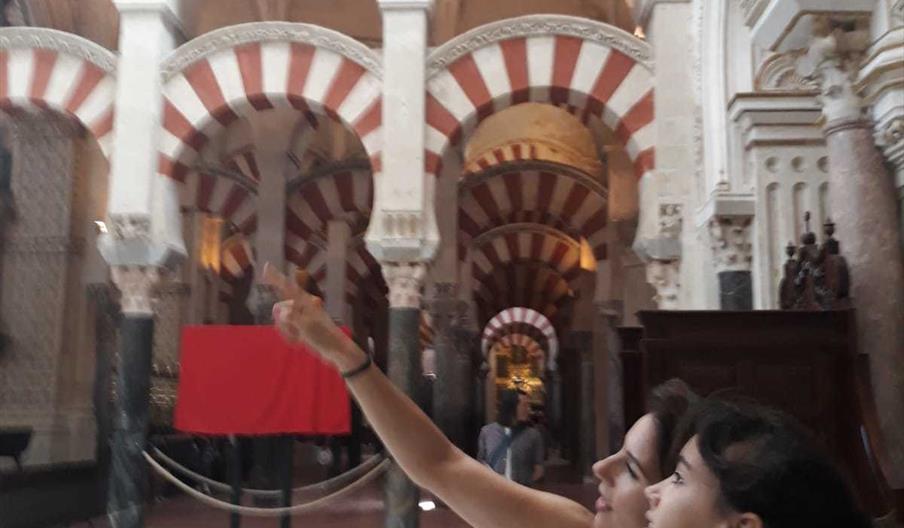 Visitas Guiadas para todos!