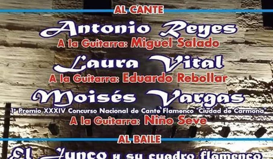 Noche flamenca en Carmona