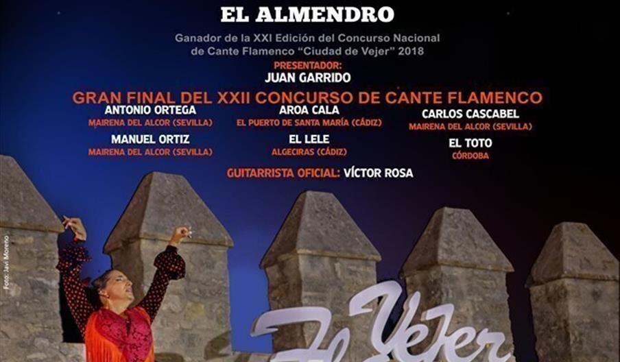 Noche Flamenca de Vejer