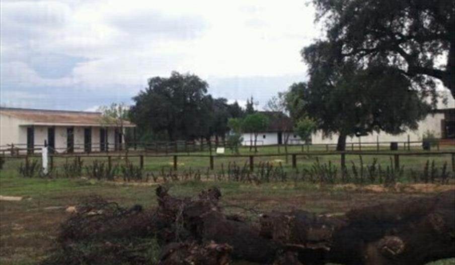 Centro de Visitantes Dehesa Boyal